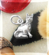 Witch's Mischievous Cat Charm | Woot & Hammy